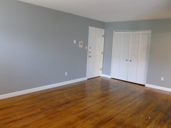 living room unit door and closet - 100 W Hickory Grove Rd