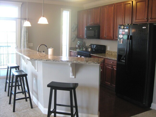 Building Photo - Beautiful 2-Bedroom Luxury Condo in Consho...