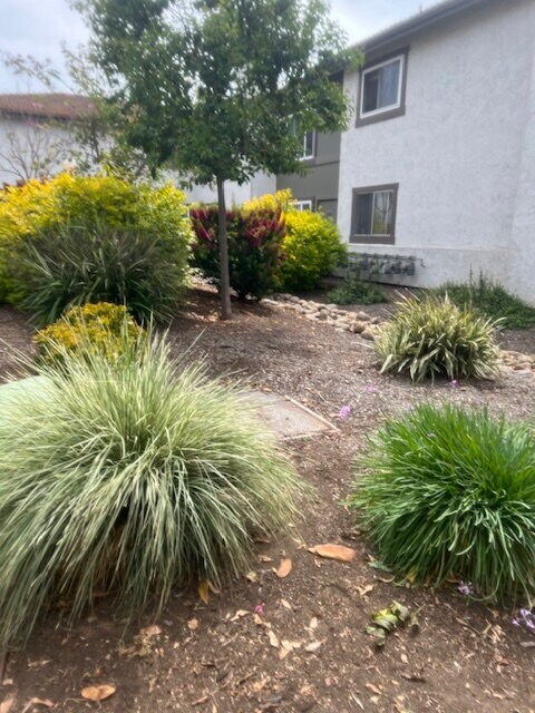 Foto del edificio - Great area near Central Santee