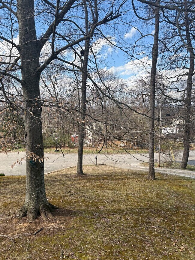 Foto del edificio - 3 Bedroom 2 Bath in Gray