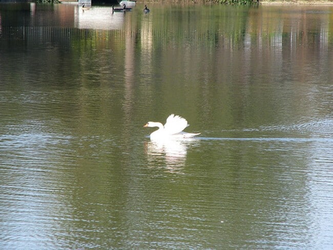 Interior Photo - Lakeshore Apartments - Lake Views!