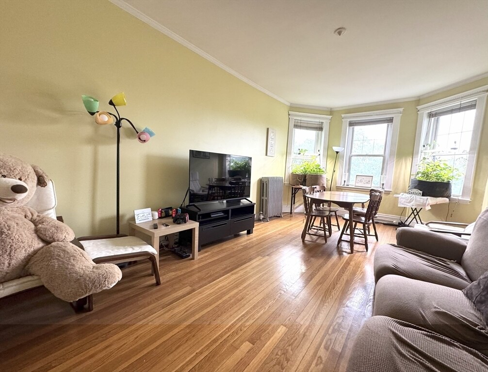 Primary Photo - 382 Riverway St
