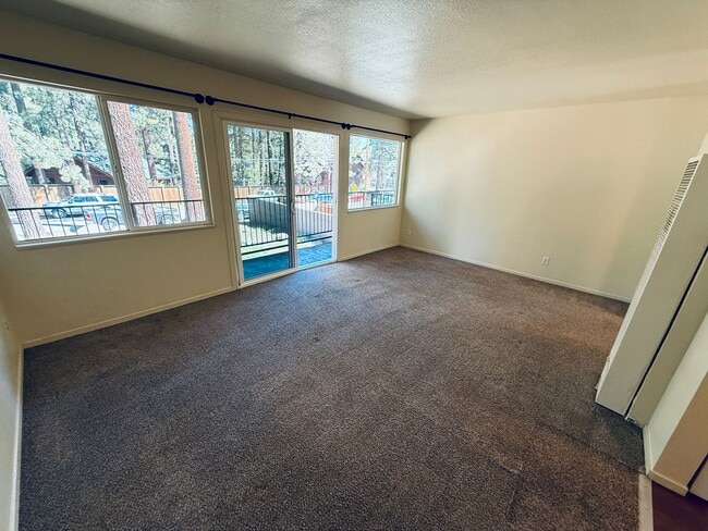 Building Photo - Pet friendly 1 bed apartment in South Lake Tahoe