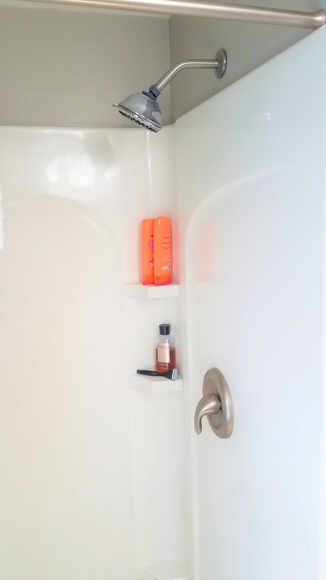 Moen brand plumbing fixtures throughout - 1409 Maryland Ave