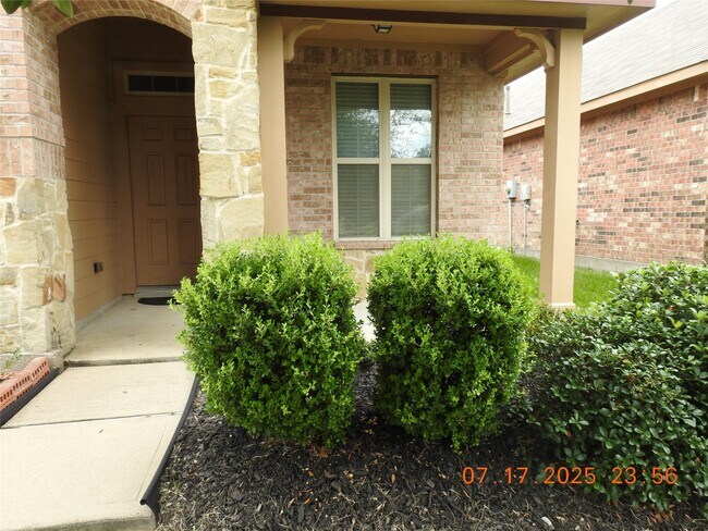 Foto del edificio - 3667 Raintree Village Dr
