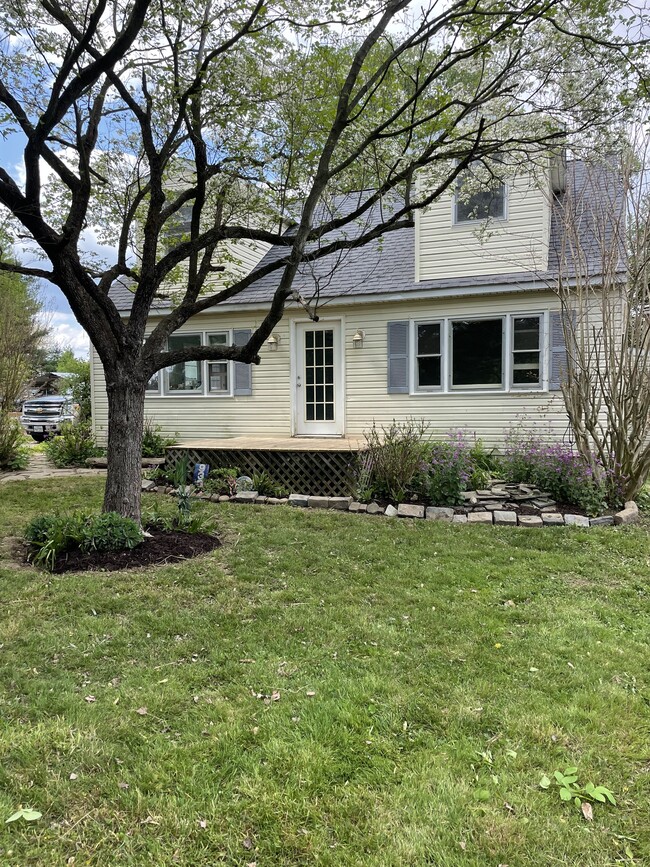 Beautiful landscaping - 933 Biddle St