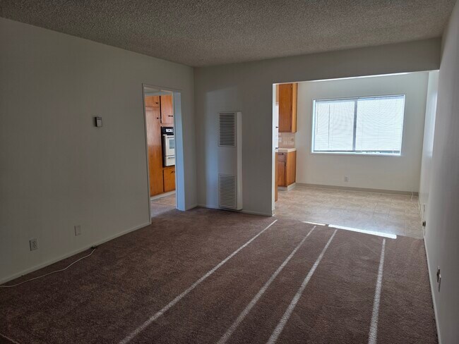 Living Room - 641 Border Ave