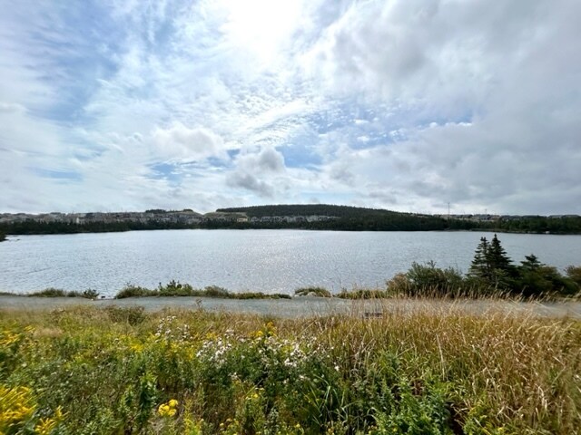 Photo du bâtiment - 1539 Topsail Rd