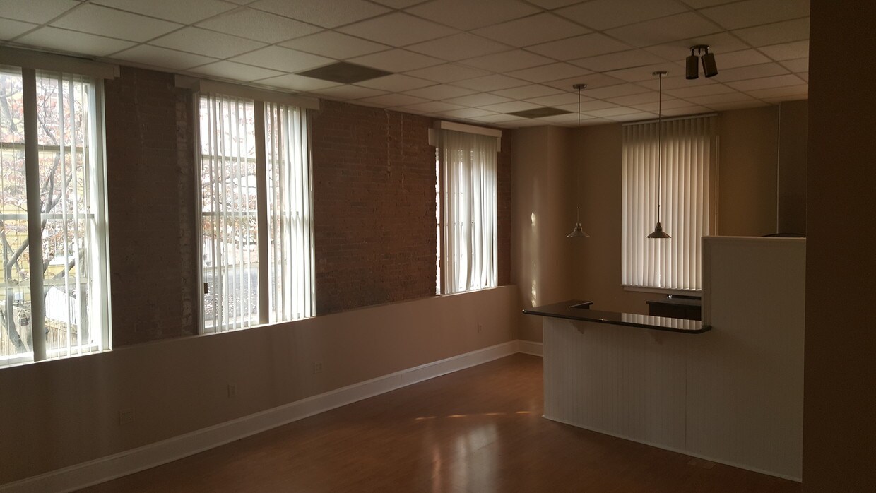 living to kitchen with large windows - 317 E Fulton St
