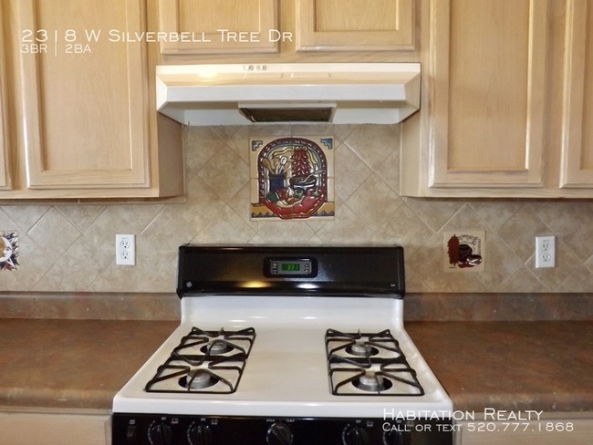 Building Photo - 2318 W Silverbell Tree Dr