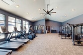 Located at 4400 Chemin Metairie Pkwy in Youngsville, Louisiana, this fitness center offers a generously sized, single-floor exercise space designed to support a full range of workout routines. The room features soaring vaulted ceilings that create an open, airy atmosphere, complemented by recessed lighting and a large overhead ceiling fan that ensures comfortable air circulation throughout. Neutral-toned carpet tiles cover the floor, providing a practical and clean surface across the entire space.

Large floor-to-ceiling windows along one wall flood the interior with natural light and offer views of an outdoor pool area, making cardio sessions more enjoyable. This side of the room houses a lineup of cardio machines, including treadmills, ellipticals, stationary bikes, and rowing machines, as well as a wall-mounted television.

On the opposite side, a mirrored wall visually expands the space and supports a dedicated strength training zone, equipped with multiple cable and resistance machines, weight benches, a power rack, and a tiered dumbbell rack with a full range of free weights. The cool blue-gray walls maintain a calm, focused environment throughout. A separate entry door and posted facility rules reflect a well-organized, community-oriented fitness facility.