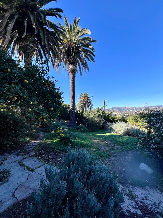 Large gated yard with views of Observatory and Hollywood sign. - 1342 Edgecliffe Dr