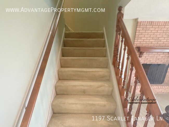 Foto del edificio - 1197 Scarlet Tanager Ln