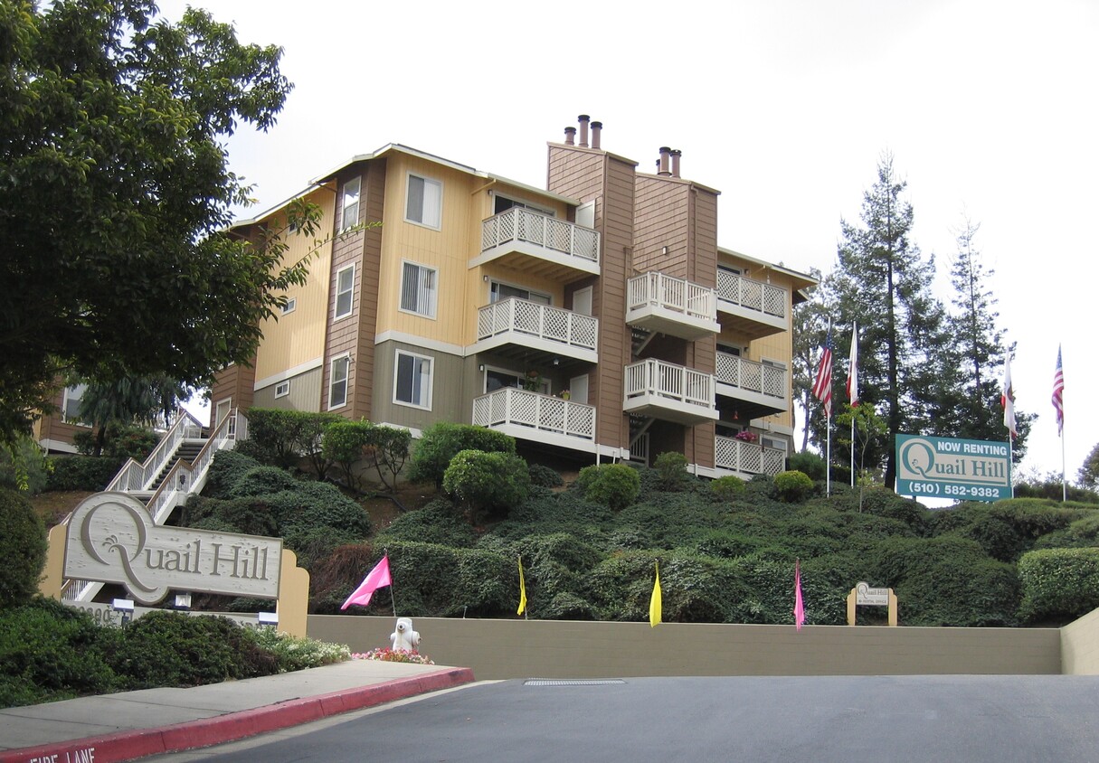 Apartments In Castro Valley Ca