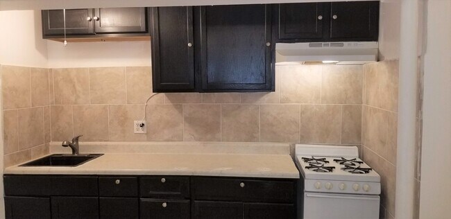 Kitchen with newly restored cabinets and stove - 10602 S Oak Tree Dr
