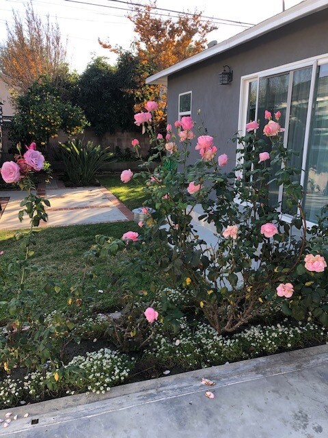 Building Photo - 5328 E Lanai St