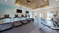 This fitness center is thoughtfully designed to support a full range of workout routines in a bright, welcoming environment. The space features a distinctive tray ceiling clad in warm wood paneling, complemented by recessed lighting and ceiling fans that maintain comfort during workouts. A striking aqua-toned striped accent wall adds a modern, energetic aesthetic throughout the room.

The cardio zone is well-stocked with multiple treadmills and elliptical machines, each equipped with individual display consoles. Mounted flat-screen televisions face the cardio equipment, enhancing the workout experience. A full-length mirrored wall visually expands the space and reflects natural light from the multiple windows that line the perimeter, offering views of the surrounding outdoor area.

The free weight section includes a tiered dumbbell rack stocked with a comprehensive range of weights, alongside adjustable benches for versatile strength training. Several cable and resistance machines are positioned throughout, providing options for targeted muscle group training. Durable rubber flooring covers the entire space, ensuring safety and noise reduction.

Natural light flows generously through multiple double-hung windows, creating an open, airy atmosphere. The combination of functional equipment, thoughtful design details, and abundant light makes this fitness center a premium facility suited for a variety of fitness levels and training styles.