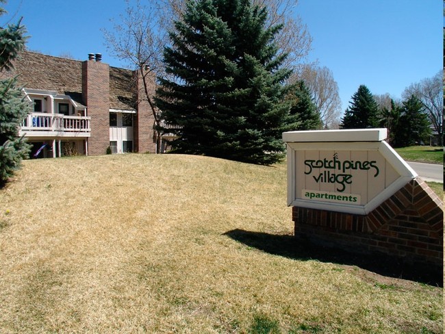 Scotch Pine Village - Scotch Pines Village