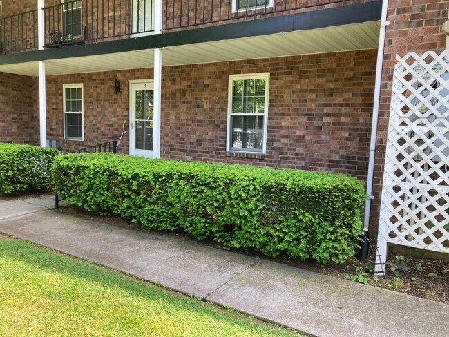 Foto del edificio - 611 E Mountcastle Dr
