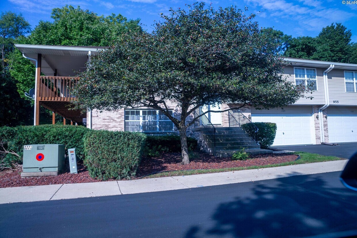 955 Elderberry Cir, Naperville, IL 60563 Townhome Rentals in