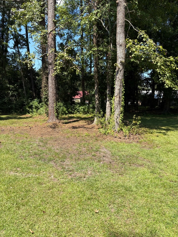 Building Photo - 4060 Whisker Pole