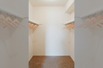 Interior Photo - Evergreen