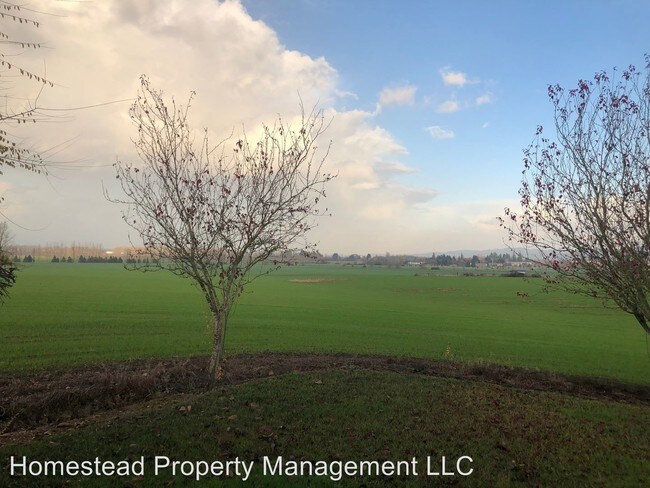 Building Photo - 4 br, 2 bath House - 11125 Mistletoe Road