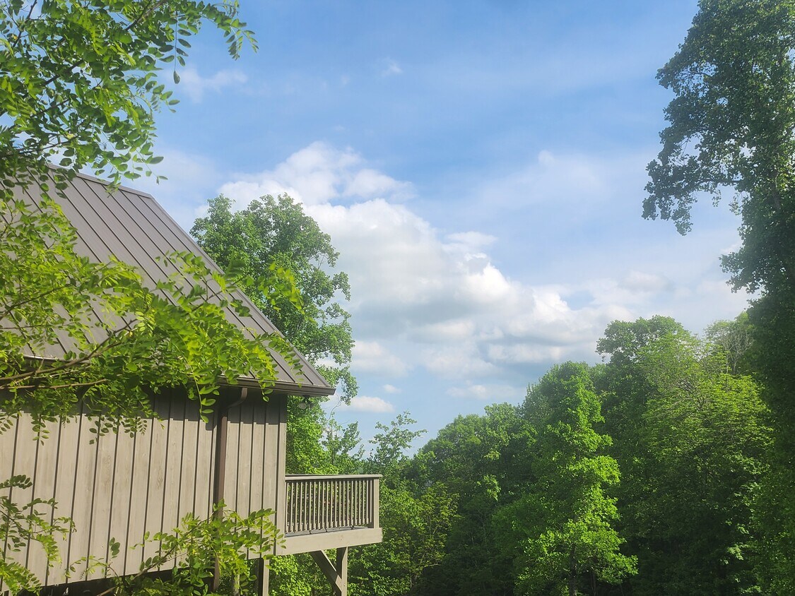 Primary Photo - 2650 Hickory Nut Gap Rd