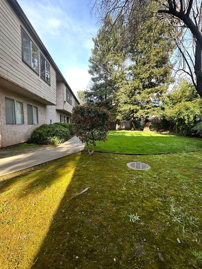 Interior Photo - AMG Townhomes