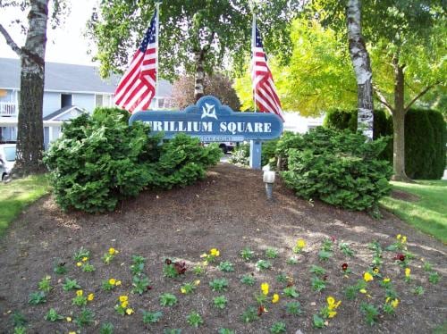 Foto del edificio - Trillium Square Apartments
