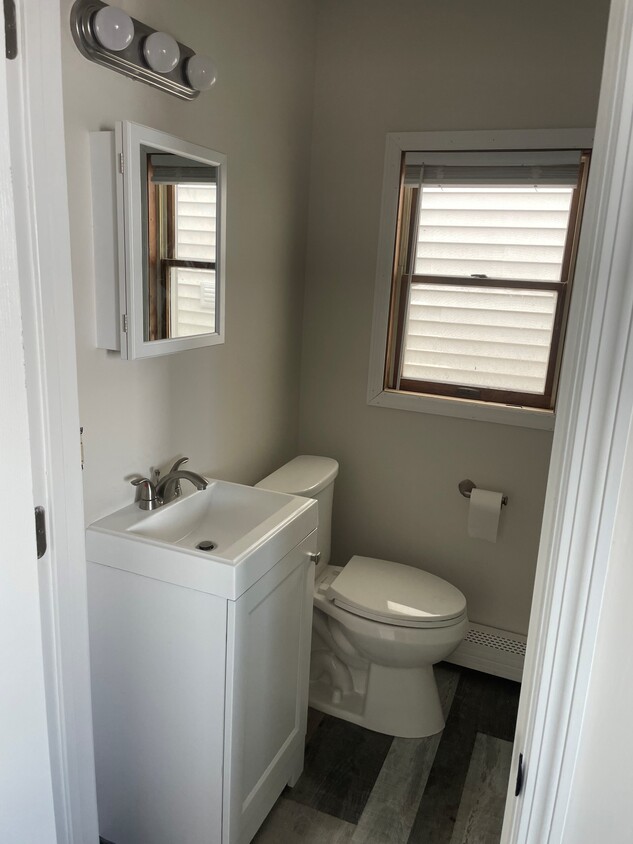 Updated Bathroom - 223 Hamilton Ave