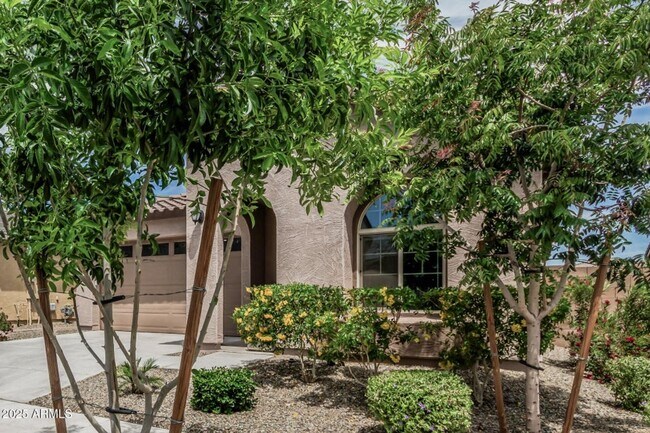 Foto del edificio - Newer Built 3 Bedroom/2 Bath Single Level Home in Queen Creek! Community Pool, Splash Pad, Lakes ...