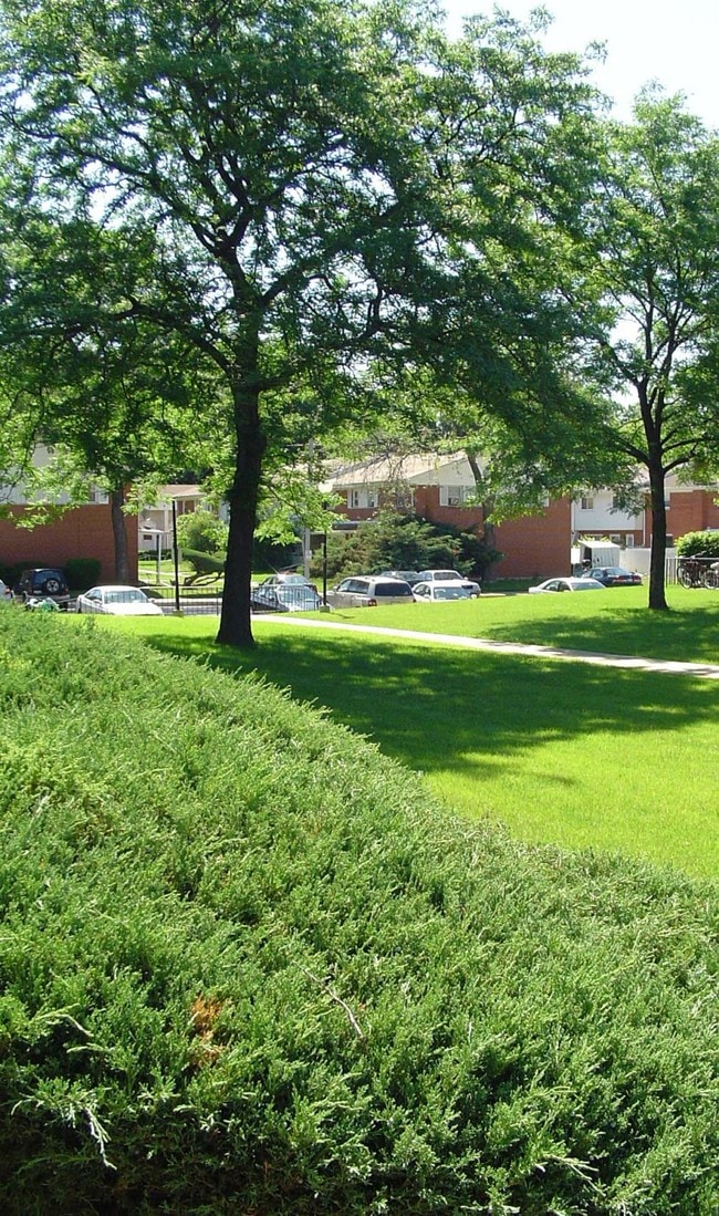 Building Photo - Nordica Apartments