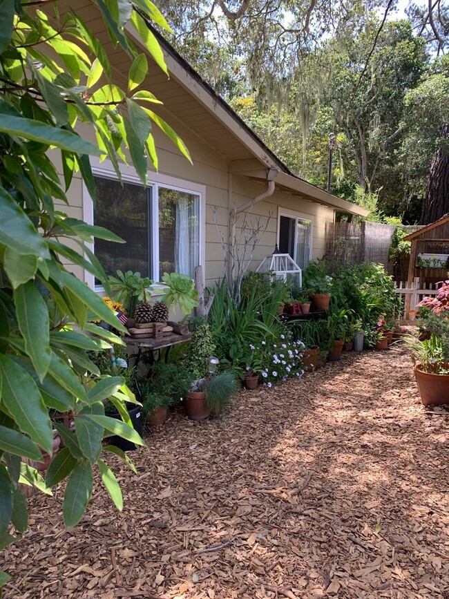 Building Photo - Wonderful 3 bedroom, 2 bathroom house in the Jacks Peak area