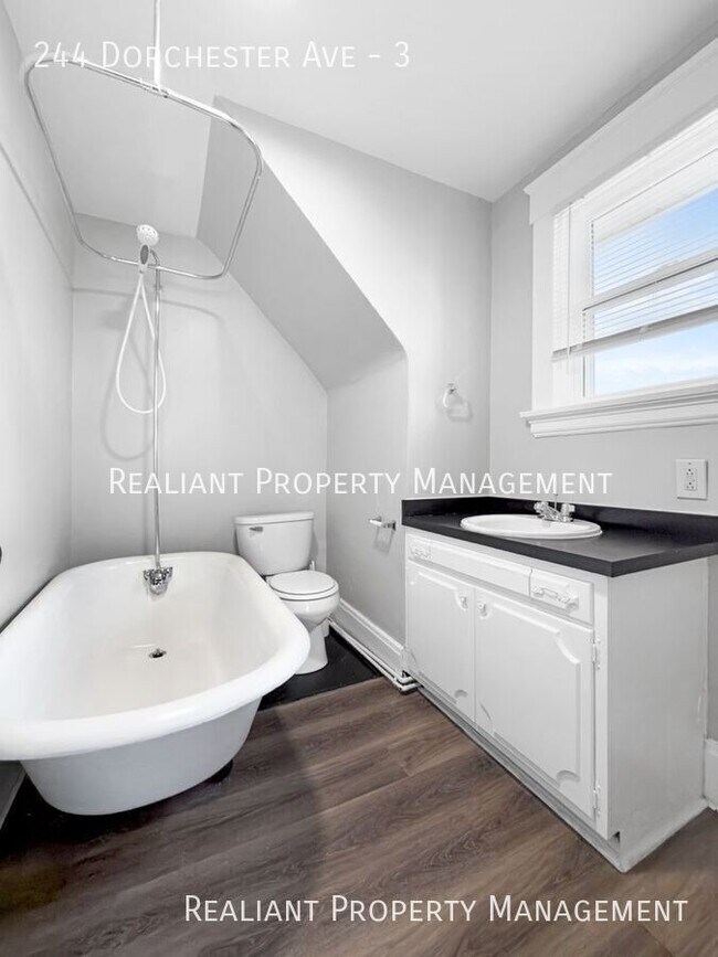 Foto del edificio - 244 Dorchester Ave