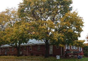 Primary Photo - Congress Street Apartments