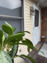 Building Photo - 1824 Pershing Pl