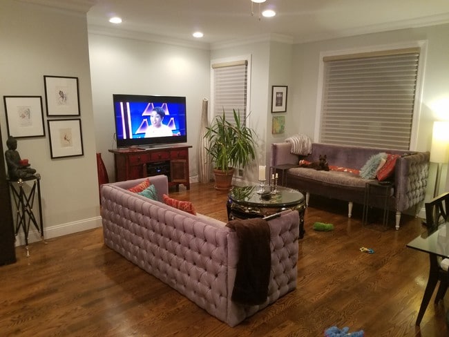 living room - 165 New York Ave