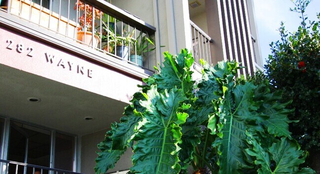 Foto del edificio - 282 Wayne Ave