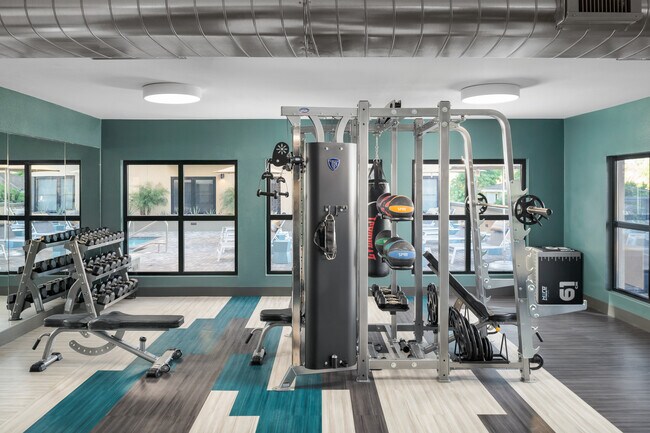 Gimnasio | Press de banca y pesas libres - The McKinley