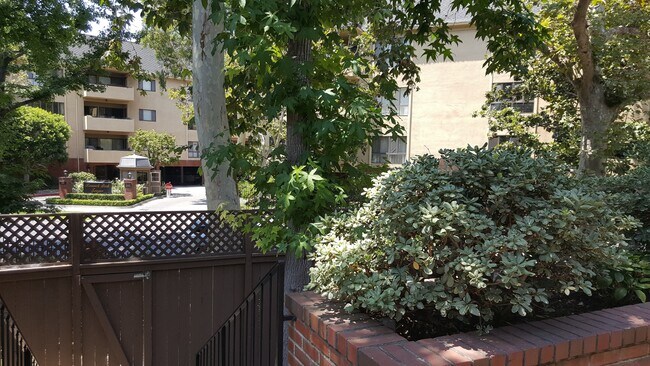 Vista a la calle (desde la puerta principal) - 638 Wilcox Ave