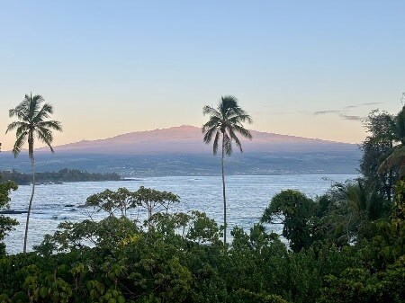 Foto del edificio - 2405 Kalanianaole St