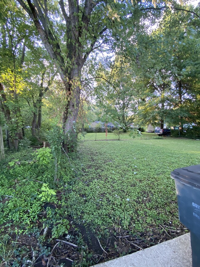 Backyard - 2753 Edgewood Ln