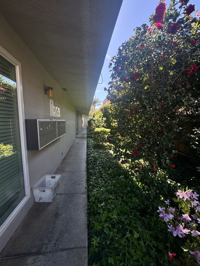 Foto del edificio - 4327 Inglewood Blvd