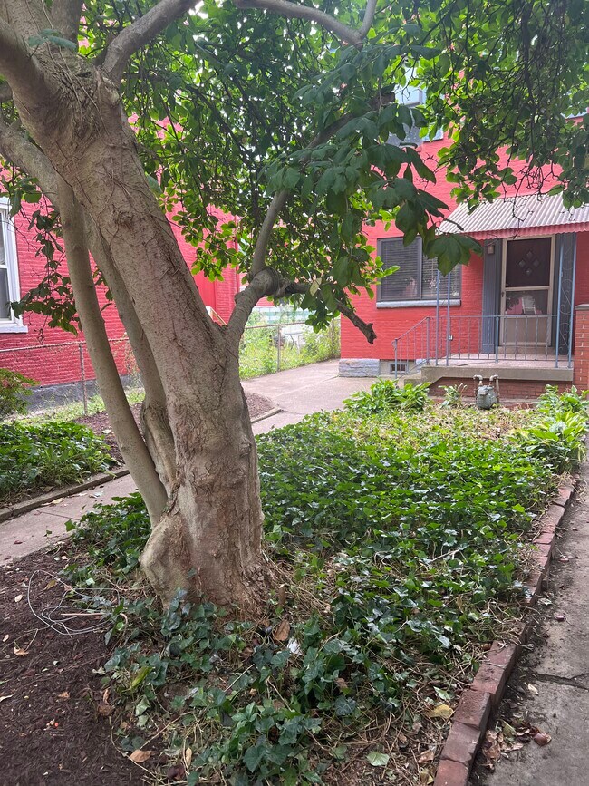 Foto del edificio - 2206 Sarah St