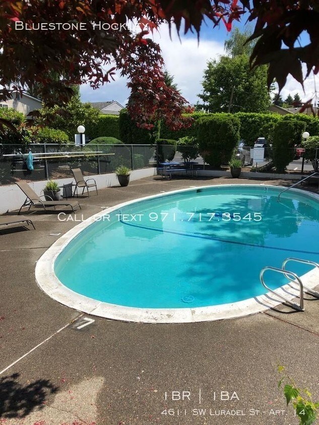 Primary Photo - 1 bedroom in Portland OR 97219
