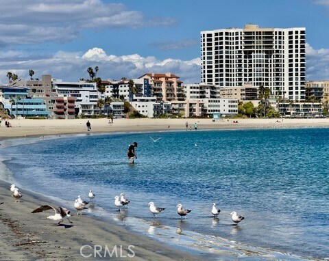Foto principal - 1310 E Ocean Blvd