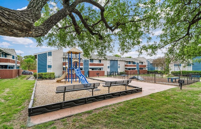 Playground and Dog Park - Alamo Oaks