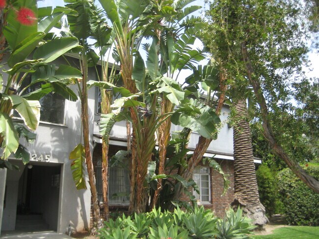 Foto del edificio - 1245 5th St