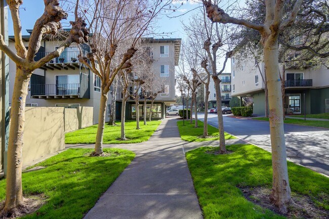Foto del edificio - 1 Bed / 1 Bath pet friendly condo with parking in beautiful San Mateo. YouTube Tour!